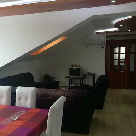 Apartman Ivana Ica ソコバニャ エクステリア 写真
