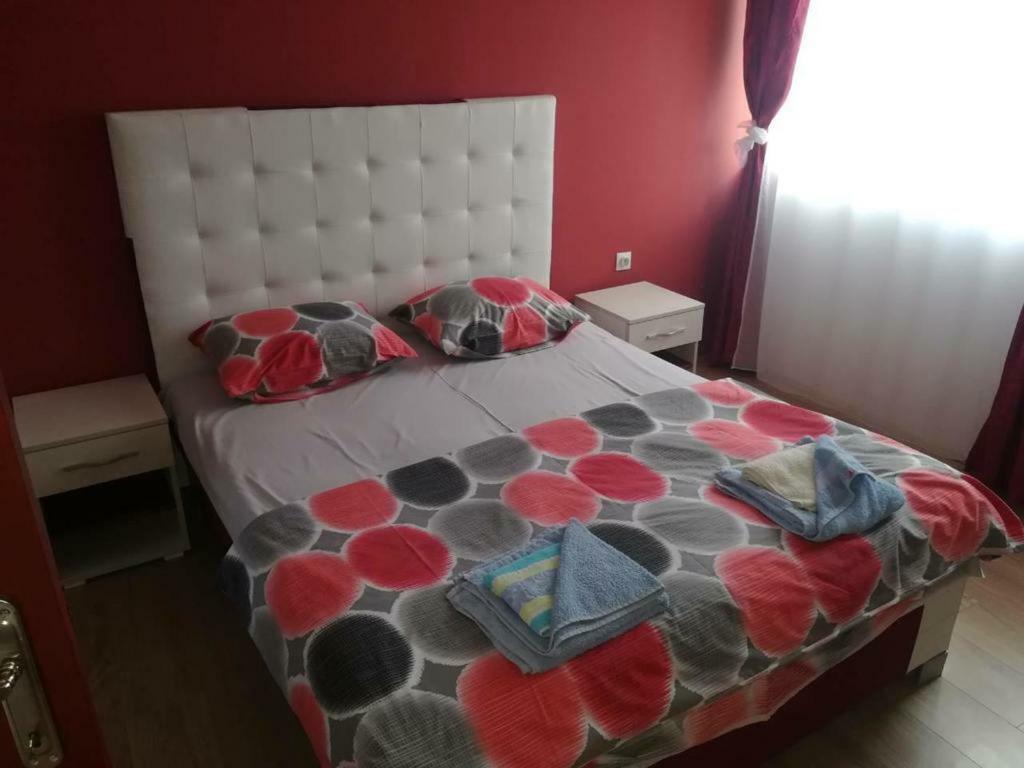 Apartman Ivana Ica ソコバニャ エクステリア 写真