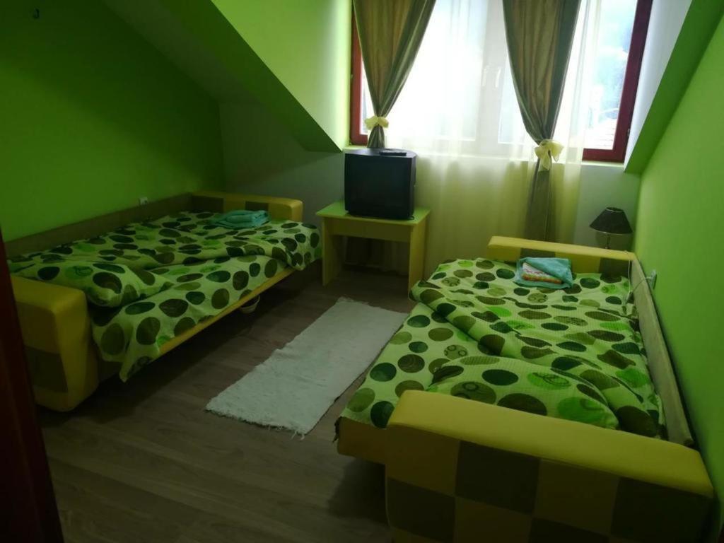 Apartman Ivana Ica ソコバニャ エクステリア 写真