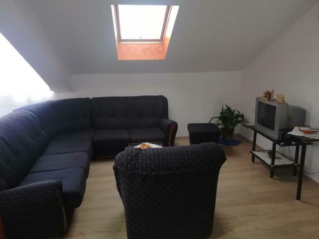 Apartman Ivana Ica ソコバニャ エクステリア 写真