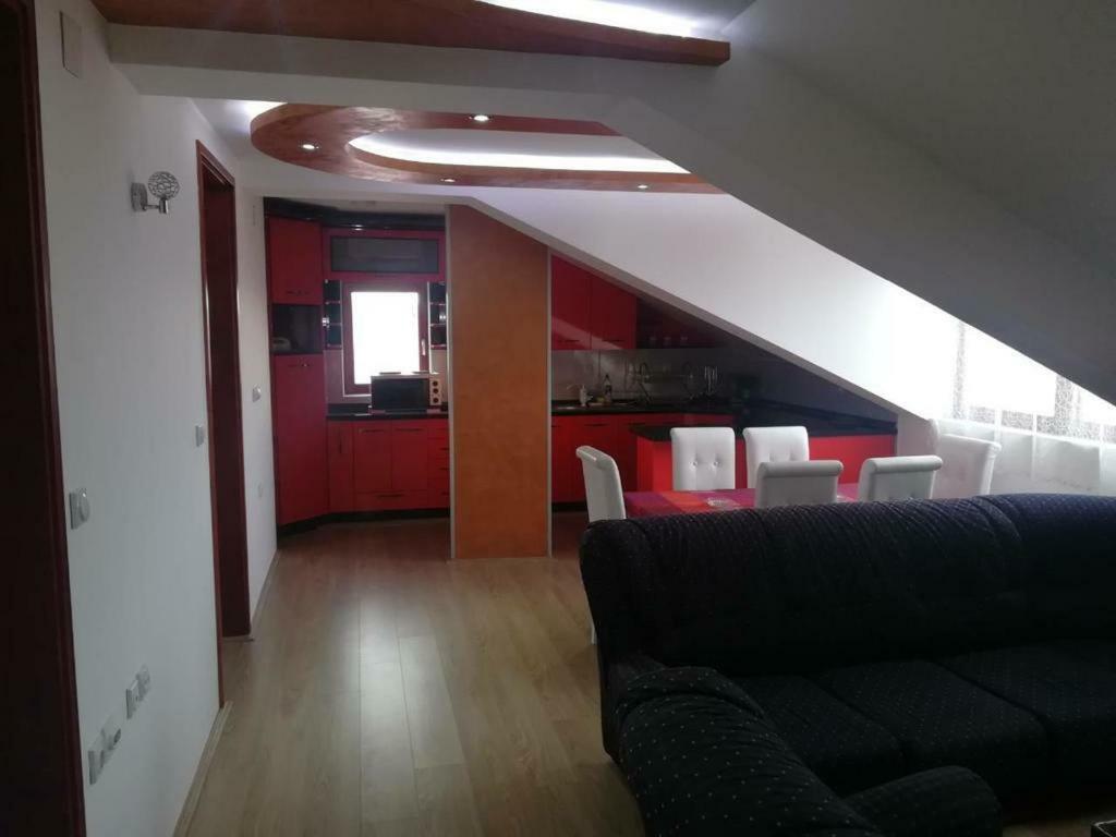 Apartman Ivana Ica ソコバニャ エクステリア 写真